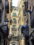 IMG_7437