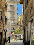 IMG_7545