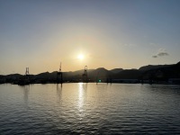 IMG_3288