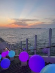 IMG_3320