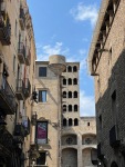 IMG_3348