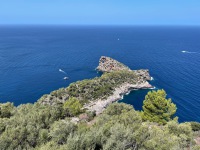 IMG_3353