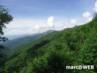 PICT0112.JPG