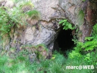 PICT0116.JPG