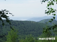 PICT0120.JPG