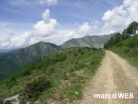 PICT0124.JPG