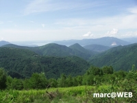 PICT0126.JPG