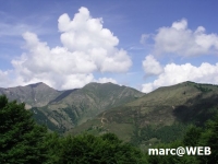 PICT0127.JPG