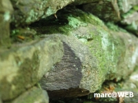 PICT0128.JPG