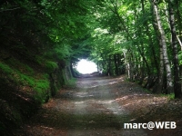 PICT0130.JPG