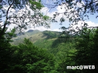 PICT0131.JPG
