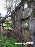 PICT0133.JPG