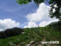 PICT0164.JPG