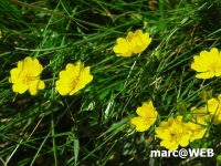 PICT0171.JPG