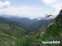 PICT0179.JPG