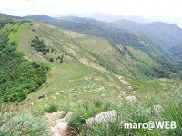 PICT0180.JPG