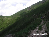 PICT0197.JPG