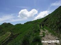 PICT0201.JPG