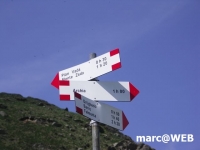 PICT0205.JPG
