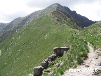 PICT0207.JPG