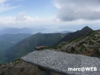 PICT0217.JPG