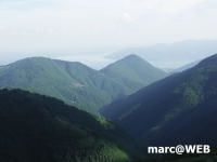PICT0255.JPG