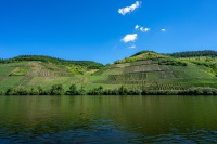 20220702-100150-DSC03455