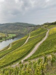 IMG_2970
