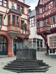 IMG_3592