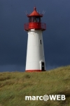 DSC01534