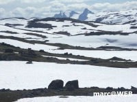 Norwegen (10).JPG