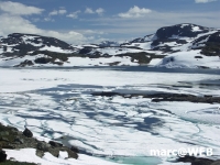 Norwegen (11)