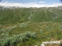 Norwegen (18).JPG