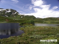 Norwegen (4)