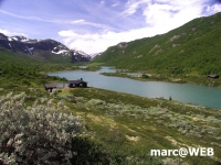 Norwegen (5)