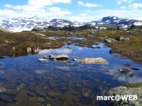 Norwegen (62).JPG