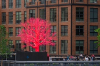 20230516-160414-DSC04626