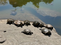 20230518-154701-IMG_0783