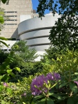 20230518-160427-IMG_0788
