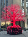 20230519-170741-IMG_0832