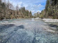 20220425-123611-IMG_6012