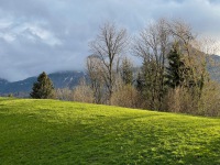 20220425-190004-IMG_6015