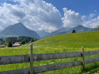 20220514-115527-IMG_6205