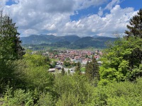 20220514-124613-IMG_6207
