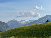 20220515-185230-IMG_6253
