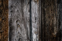 20220517-120411-DSC03413
