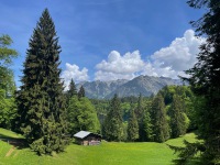 20220517-123811-IMG_6278