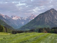 20220517-204609-IMG_6284