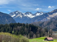 IMG_9904
