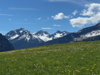 IMG_9915